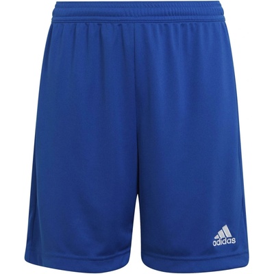 adidas ENT22 SHO Y modrá