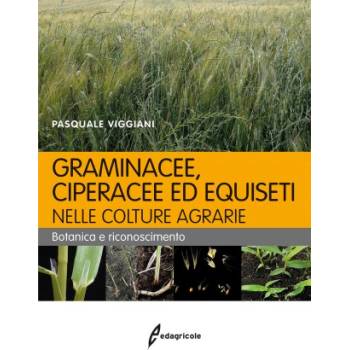 Graminacee, ciperacee ed equiseti nelle colture agrarie. Botanica e riconoscimento