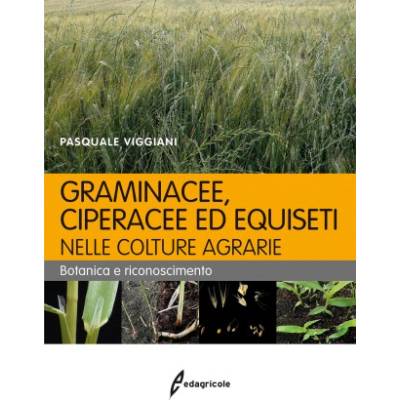 Graminacee, ciperacee ed equiseti nelle colture agrarie. Botanica e riconoscimento