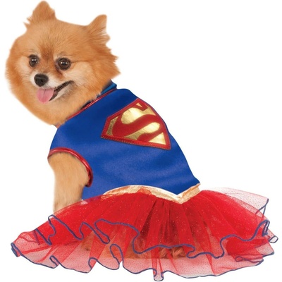 bristol SuperDog pro psa čivavu