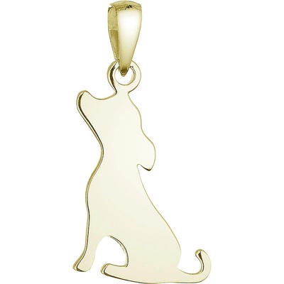 Evolution Group Pozlacený stříbrný přívěsek pes 64097