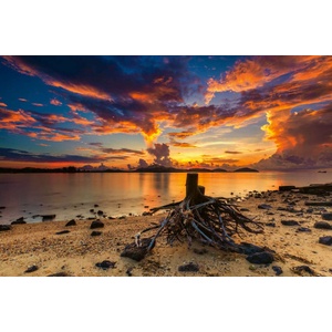 DIMEX ART Флизелинов фототапет златен изгрев 375 x 250 см