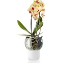 Eva Solo Skleněný samozavlažovací květináč na orchideje 15 cm
