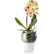 Eva Solo Skleněný samozavlažovací květináč na orchideje 15 cm