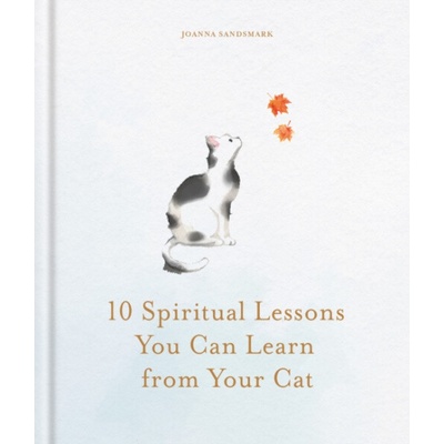 10 Spiritual Lessons You Can Learn from Your Cat - Joanna Sandsmark