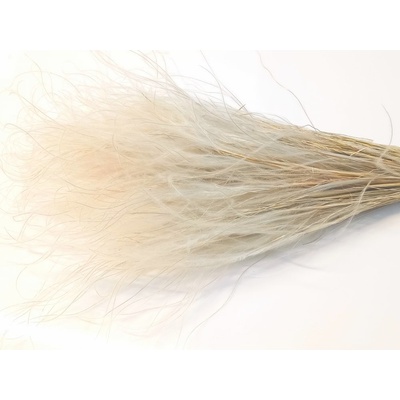 Sušená travina Stipa přírodní svazek 25g