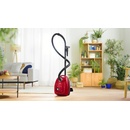 Bosch BGB38RD2