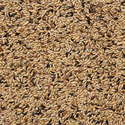 Deli Nature 80 Canaries Breeding Without Rapeseed 4 kg