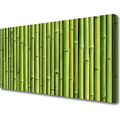 Obraz Canvas Bambus rastlina príroda 100x50 cm