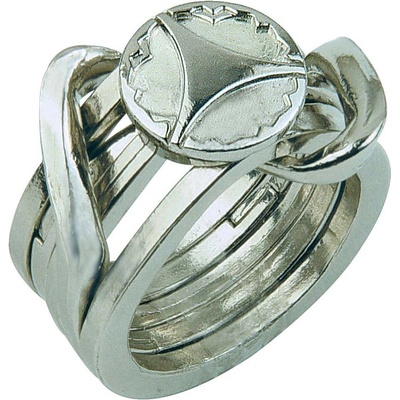 Cast puzzle Hanayama Ring II