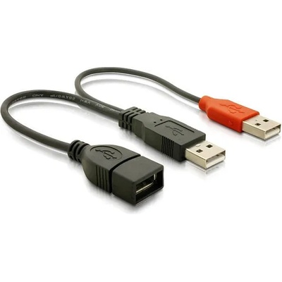 Delock USB 2.0 Y Cable 65306
