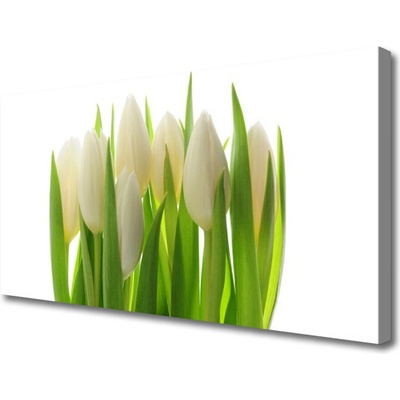Obraz na plátně Tulipány Rostlina Příroda 100x50 cm