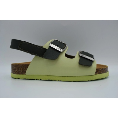 Scholl Turtle bioprint Olive