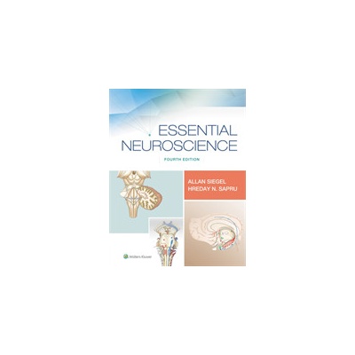 Essential Neuroscience Siegel Dr. Allan Ph.D.Paperback / softback