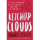 Ketchup Clouds - Annabel Pitcher