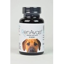 Vitamíny a doplňky stravy pro psy RenAvast DOG 60 tbl