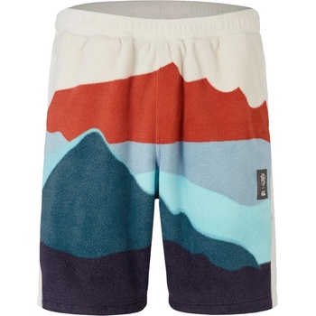 Image 1 of Canterbury Къси панталони Canterbury British and Irish Lions 2024 Outback Shorts Adults - Rainy Day
