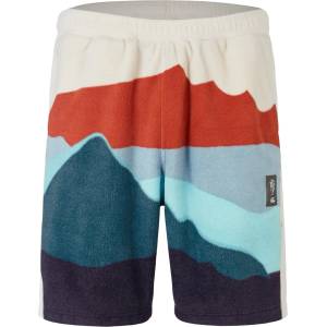Canterbury Къси панталони Canterbury British and Irish Lions 2024 Outback Shorts Adults - Rainy Day