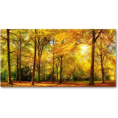 Foto obraz sklo tvrzené jesenné les 100x50 cm