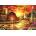 Bluebird Puzzle - Puzzle Pinson: Honey Drip Farm - 1 000 piese