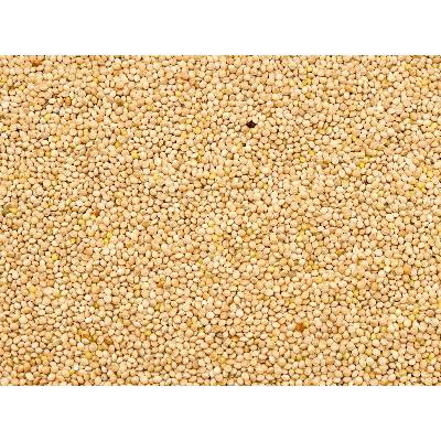 Kampol Proso bílé 25 kg