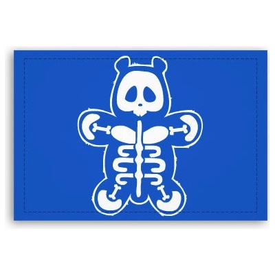 Fotoobraz 90x60 cm střední Panda rentgen