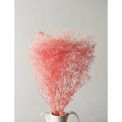 Stabilizované kvety Gypsophila mini - bledo ružová