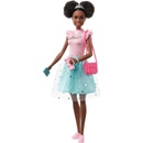 Barbie Princess Adventure Kamarádka Nikki