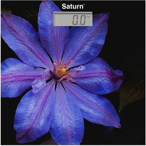 Saturn ST-PS0287