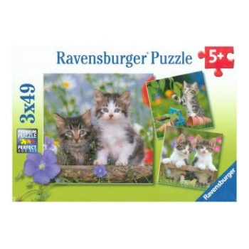 Ravensburger Verlag Ravensburger Kinderpuzzle - 08046 Süße Samtpfötchen - Puzzle für Kinder ab 5 Jahren, mit 3x49 Teilen