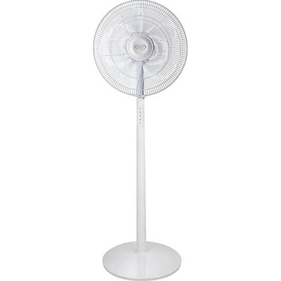 Argo 398200032