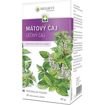 Megafyt Mátový Čaj 20 sacc