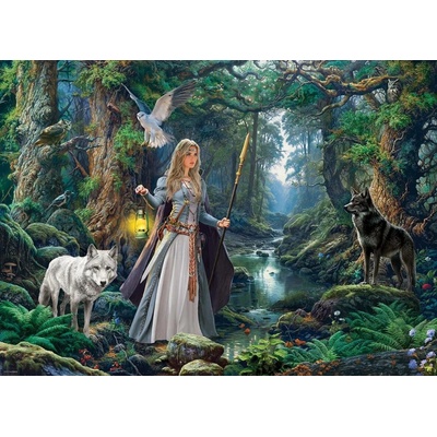 EUROGRAPHICS Fantasy les 1000 dílků