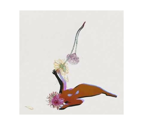 FUTURE ISLANDS - FAR FIELD LP
