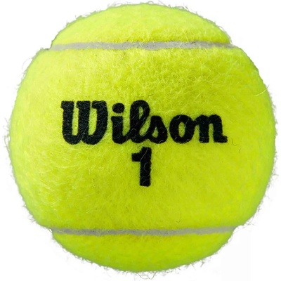 Wilson Roland Garros All Court 4 ks – Zboží Mobilmania