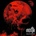 Besta - Terra Em Desapego (LP) (0826056127115)