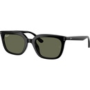 Ray-Ban RB4439D 901/9A