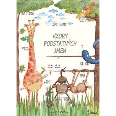 Vzory podstatných jmen - Procvičovací sešit z ČJ pro 4. ročn...