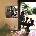 Pink Floyd - Ummagumma (2 LP) (0888751842113)