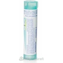 Causticum gra.1 x 4 g 200CH