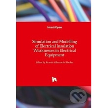 Simulation and Modelling of Electrical Insulation Weaknesses in Electrical Equipment - Ricardo Albarracín Sánchez