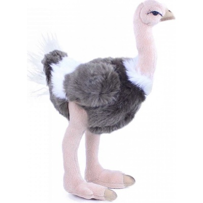 Pštros Emu