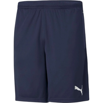 Puma teamRISE Training Shorts – Zboží Mobilmania