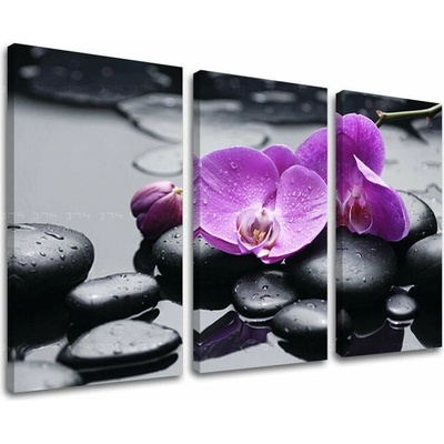Obraz na stenu FENG SHUI - 120x80 cm