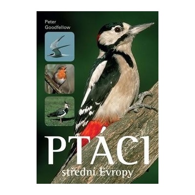 Ptáci střední Evropy