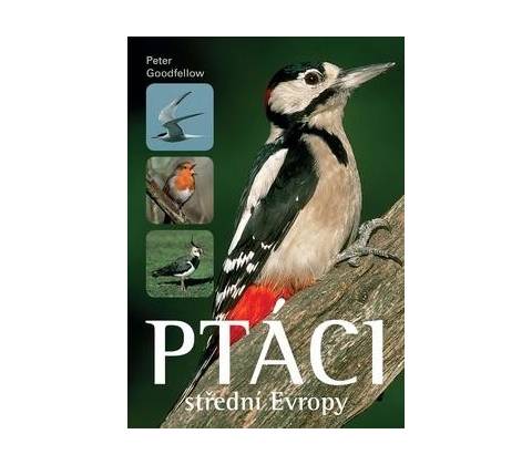 Ptáci střední Evropy