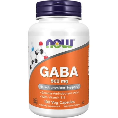 NOW NOW GABA 500mg with Vitamin B6, 100 Veg Capsules