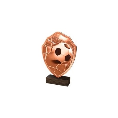 Poháry Bauer Dřevěná plaketa TFRW311 Fotbal