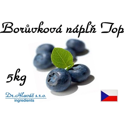 Dr.Hlaváč - BORŮVKOVÁ náplň TOP 5kg GASTRO