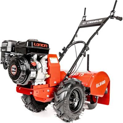 Hahn & Sohn Cedrus GLX480F